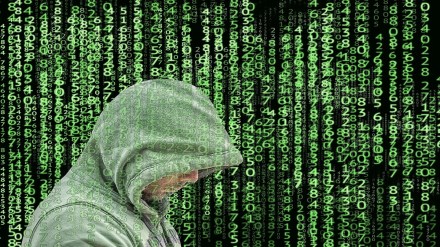 chartered accountant cheated, Cyber ​​fraud,