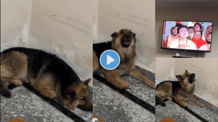 dog devotion As soon as he heard Hanuman Chalisa see what happened
