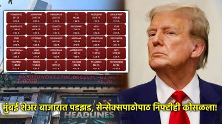 donald trump tariffs share market collapsed