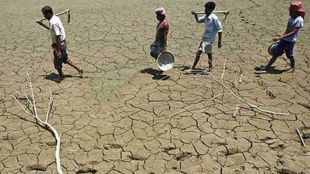 scientific drought mitigation Five districts selected for drought relief mumbai