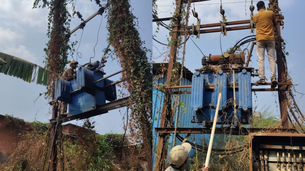 Work to remove vines from electric poles accelerated Repair of poles required before pre-monsoon