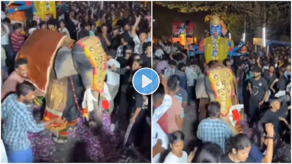 elephant really dancing to Illuminati in viral video