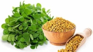 Fenugreek: Benefits and effects