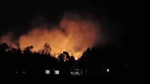 climate change Wada forest fires news in marathi