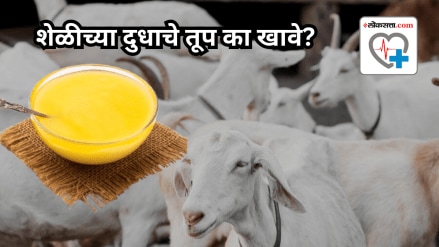 goat milk ghee goat milk ghee