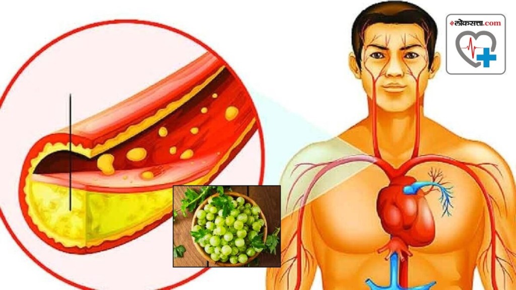 Health Benefits of Gooseberries