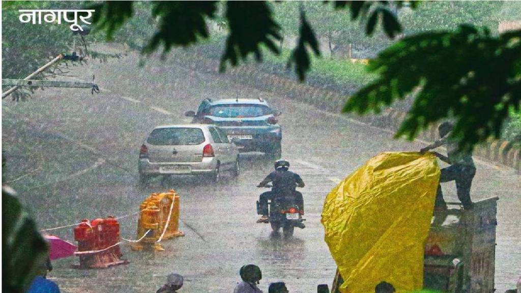 Two killed in lightning strike in Vidarbha Nagpur news Two killed in lightning strike in Vidarbha Nagpur news