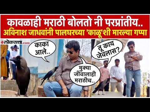 Avinash Jadhav Meets Palghar Speaking Crow