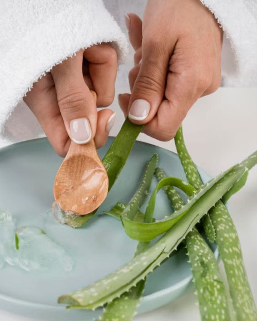 aloe vera for skincare
