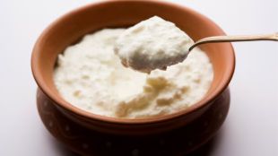 Curd recipe news in marathi