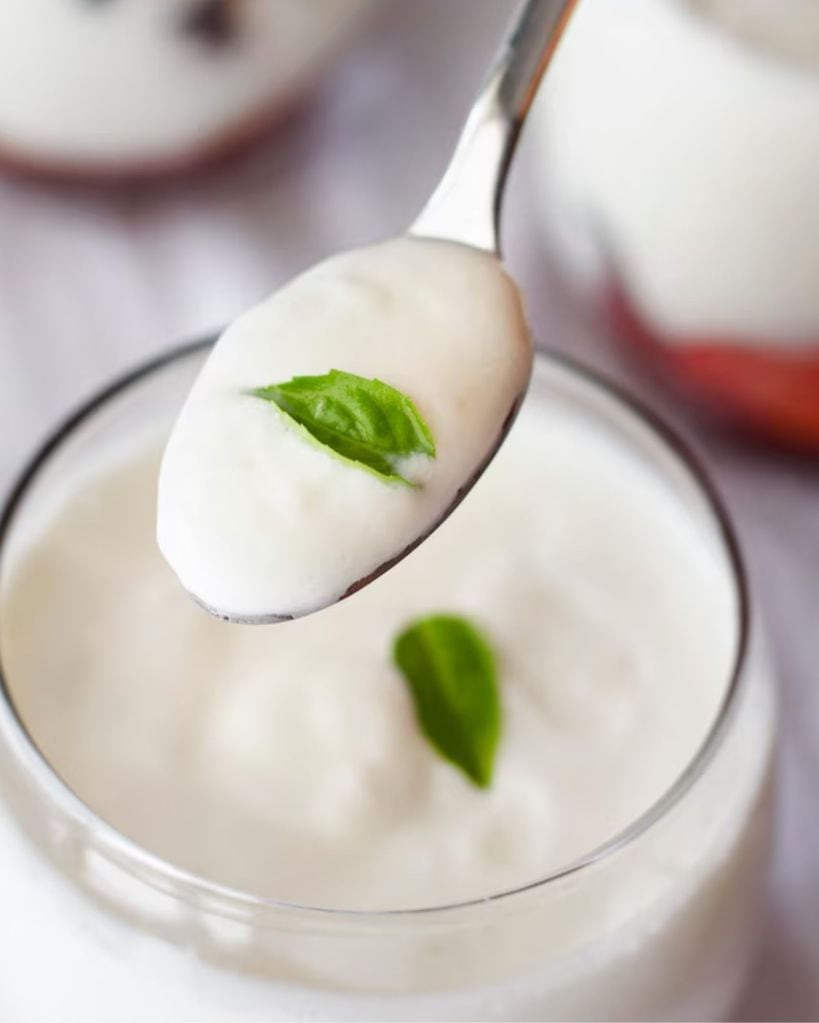 curd benefits
