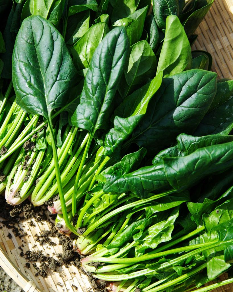 spinach