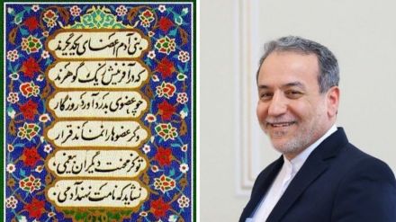 Iranian official speaking on mediation between India and Pakistan with a poetic reference