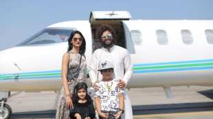 Allu Arjun Earning, Fees and Business