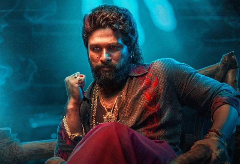 how big is allu arjun empire