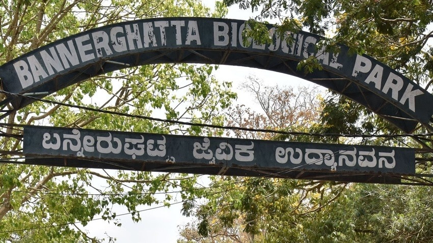 Bannerghatta Biological Park, Karnataka
