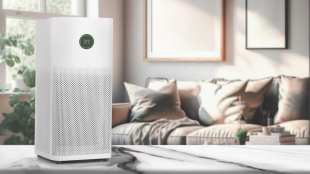 How air purifiers protect home interiors