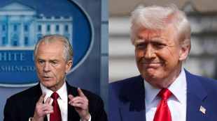 Mastermind Behind Donald Trump's Tariff Plan