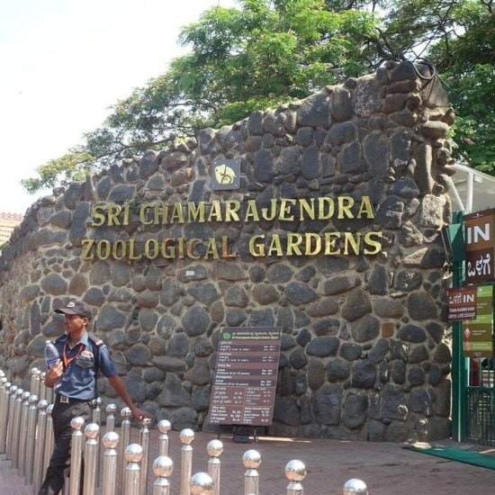 Mysore Zoo, Karnataka