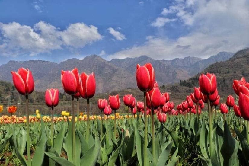 Pahalgam old Name and Meaning
