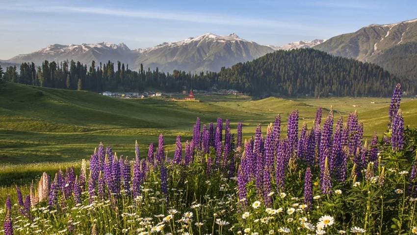 Pahalgam History