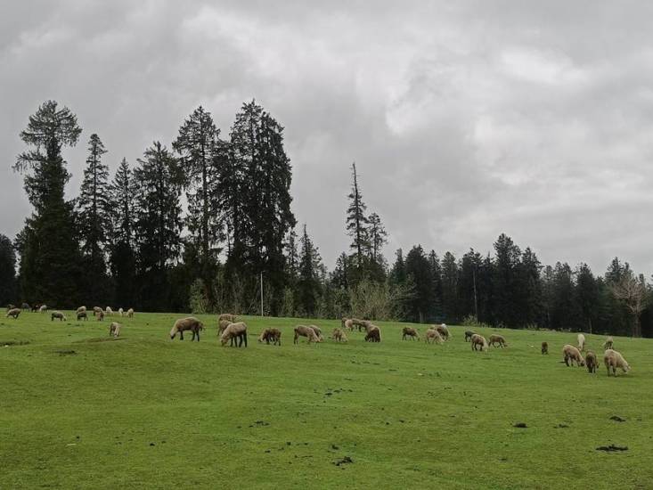 What was the old name of Pahalgam