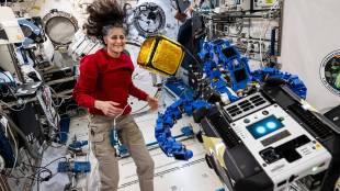 What Did Sunita Williams Eat after returning to Earth