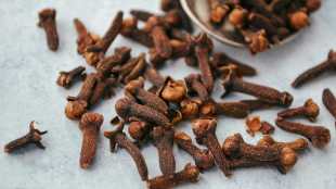 herbal cooling remedies