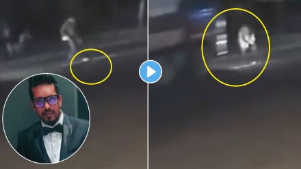 kerala kitten rescue accident video kerala kitten rescue accident video