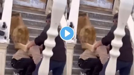 Lion Attack Man Shocking Video