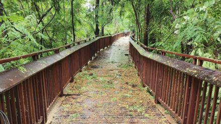 cost of malabar hill nature elevated-walkway has increased original project of 12 crores has been increased to 25 crores