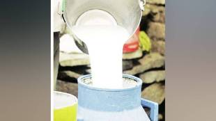 milk from a dairy in Bainganwadi area of Govandi was adulterated