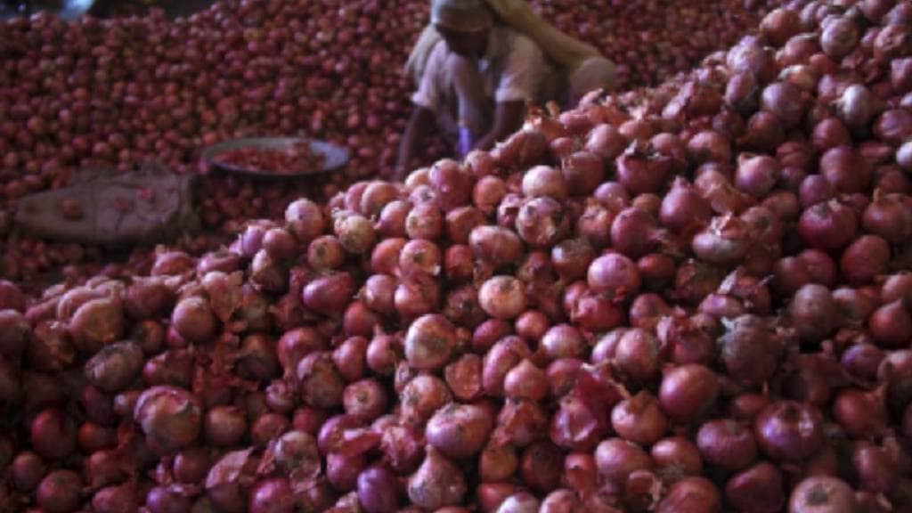 Maharashtra proposes 10 tonne onion 'mahabank' based on irradiation technology,