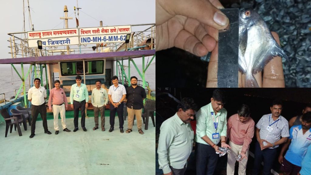 Action against two fishing boats for catching small sized silver Promfrets