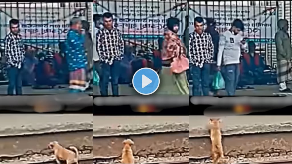 man save a dog on railway track