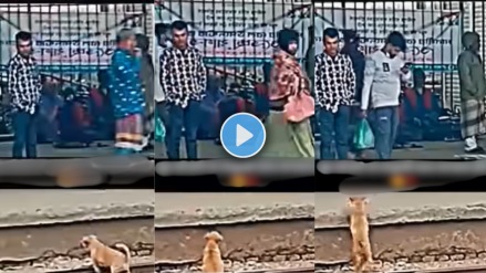 man save a dog on railway track