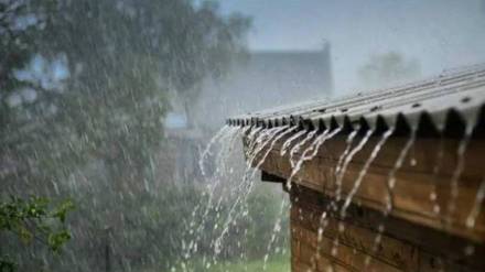 Farmers worried due to unseasonal rains in Vaibhavwadi kokan news