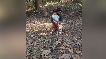 man gave Pythons tail in hands of child snake friends demand to take action