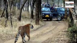 boy was killed by a tiger in the Ranthambore Tiger Reserve was religious tourism in the forest area the cause