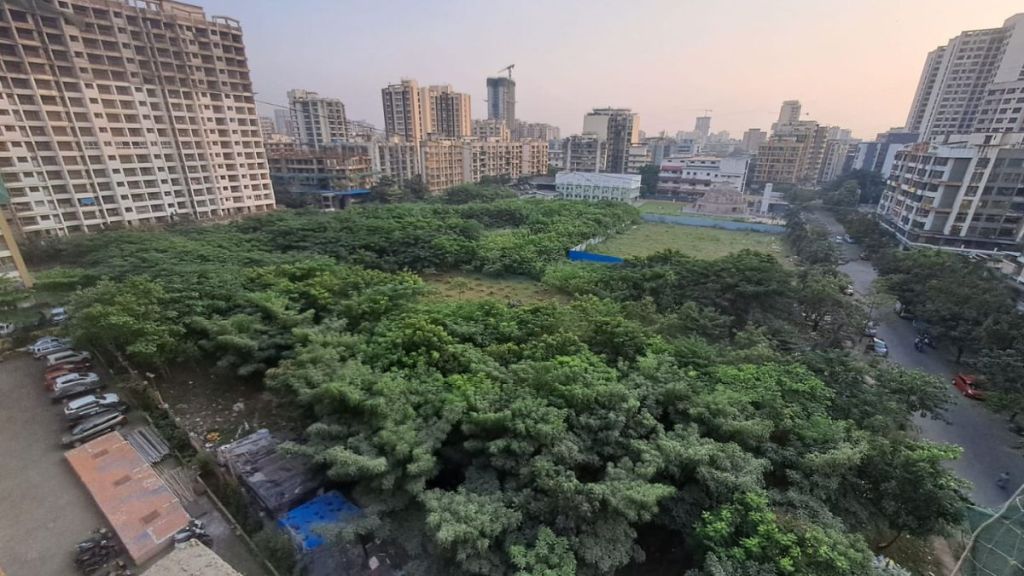 Decision to cut 20 trees for development works postponed