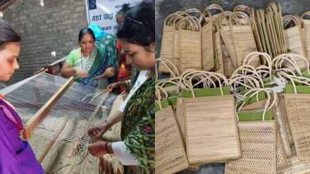 water hyacinth harvesting jobs for women