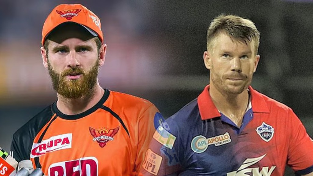david warner & Kane Williamson
