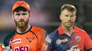 david warner & Kane Williamson