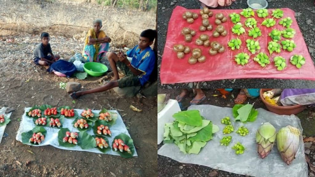 On occasion of Mahalaxmi Yatra tribal women get employment by selling wild fruits