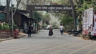 Forest Department begins survey of encroachments in Yeur thane news