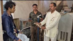 monitor lizard found in Chandrapur District Consumer Court was rescued wildlife friends