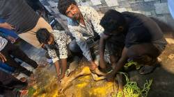 पाण्याच्या शोधात हरीण नागरी वस्तीत; वनविभाग व अग्निशमनदलाकडून जखमी हरणाची सुखरूप सुटका