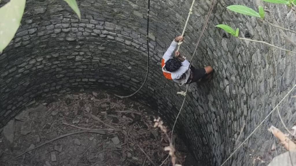 Two kittens trapped in a well in Palghar Kasa have been successfully rescued