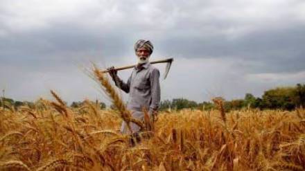 agricultural loans are higher in Mumbai than Marathwada and Vidarbha