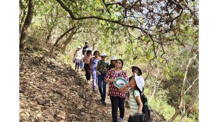 On the occasion of Thane summer vacation, a joint summer camp 2025 was organized by Vanshakti Sanstha and Maharashtra State Forest Department